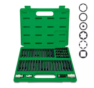 Профессиональный набор бит TORX, HEX, SPLINE, RIBE, SQ 60ед. TOPTUL GCAI6003 Профессиональный набор бит TORX, HEX, SPLINE, RIBE, SQ 60ед. TOPTUL GCAI6003